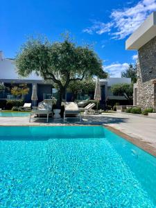 a swimming pool in front of a house at Thassos OLIVIA RESORT in Potos
