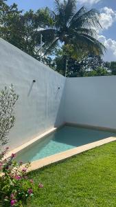 a swimming pool next to a concrete wall with a palm tree at Muunyal Naj in Valladolid