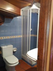Un baño con inodoro, ducha y lavabo. en Casa Rural Casa Azul, en Villahormes 23 fotos más