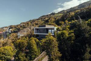 a house on top of a hill with trees at Casa do Incenso in São Roque do Pico