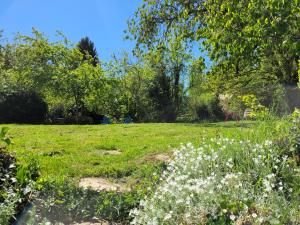 a field of grass with white flowers and trees at Le Clos Verdonnais in Verdon