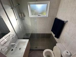 a bathroom with a sink and a toilet and a window at Loft Style Apartment in Monte Vista