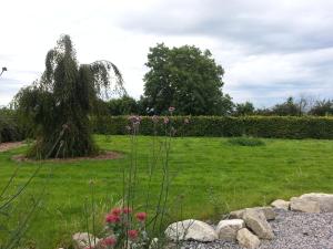 a garden with a field of grass and flowers at Lorum Bed and Breakfast in Bagenalstown