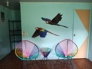 three colorful chairs and birds on a wall at Finca Paz y Flora in Drake