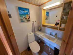 a bathroom with a white toilet and a sink at Gold Digger's Timber in Inari +28 photos