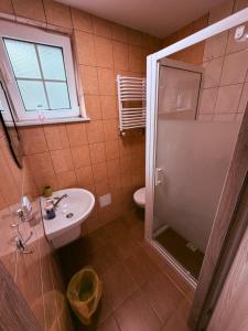 a bathroom with a shower and a sink and a toilet at U Marzeny in Malbork +29 photos