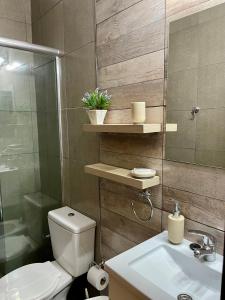 a bathroom with a toilet and a sink and a shower at Chill Home VIII in Posadas +3 photos