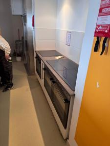 a person standing in a kitchen with a stove at Landhotel Max & Moritz in Liebenau