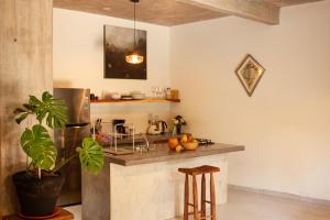 a kitchen with a counter with a potted plant at Casa Sol Sombra in Brisas de Zicatela