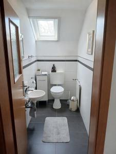 a bathroom with a toilet and a sink and a window at Dreiflüsse Appartement - Traumgarten mit Grill und Pavillon, WLAN, Küche und Parkplatz in Salzweg +6 photos