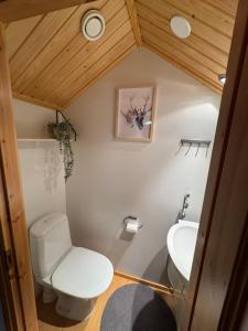a small bathroom with a toilet and a sink at Usva Cabins Ylläs - Sapara J 38 in Äkäslompolo +8 photos