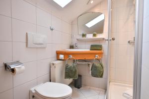 a bathroom with a toilet and a sink and a mirror at Gästehaus Alpenruh in Fischen +30 photos