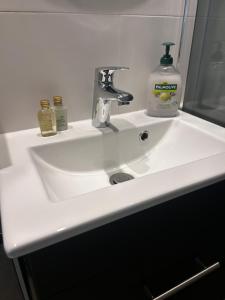 a white bathroom sink with soap and a bottle of soap at Cosy 26 - Zuid-Limburg in Simpelveld +8 photos