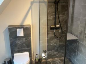 a bathroom with a shower and a toilet in it at Penthouse deluxe in Hobro +11 photos