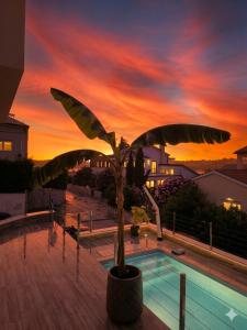 a palm tree sitting next to a swimming pool at sunset at Luxury Histria Apartment with Private Pool Near the Beach in Banjole