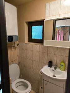 a bathroom with a toilet and a sink and a mirror at Chata Na Kačce in Borowa +4 photos