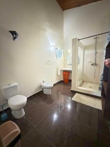 a bathroom with a toilet and a shower at Villa Prisca in Sainte Marie +11 photos