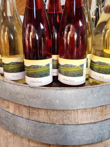 a group of wine bottles on a shelf at Ferienweingut Schäfer in Niedersteinbach