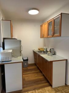 a kitchen with wooden cabinets and a refrigerator at Salt City Apartments in Sepetari