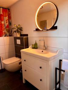 a bathroom with a sink and a toilet and a mirror at Ferienwohnung Rosengarten in Einbeck +17 photos