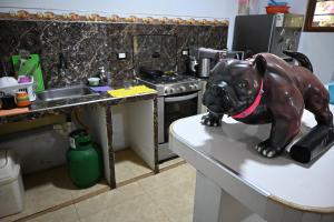 a statue of a dog sitting on a counter in a kitchen at Depa en Pto Maldonado in Puerto Maldonado