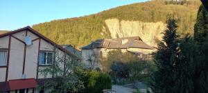 a group of houses in front of a mountain at Zelena Sadyba Bila Stavka in Yaremche