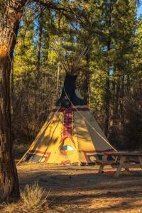 a tent on a picnic table next to a tree at Heartline Ranch, LLC in Chiloquin +37 photos