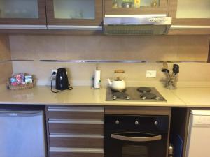 cocina con fogones y encimera en Golf y Polo Apartment en San Martín de los Andes
