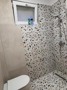 a bathroom with a toilet and a shower at Seaview Apartment Pinea Golem in Golem +15 photos