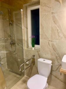 a bathroom with a toilet and a glass shower at Spokojna Dolina in Brejdyny +31 photos