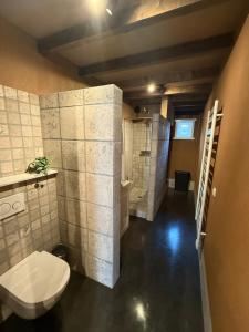 a bathroom with a toilet and a sink and a shower at 't Woldhoesie in Diever