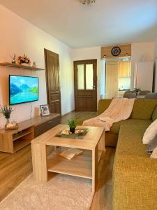 a living room with a couch and a tv at Thermal Oazis Apartman in Mosonmagyaróvár