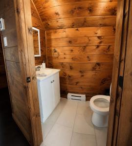 a bathroom with a toilet and a sink at Le Malpic in Mont-Laurier +13 photos