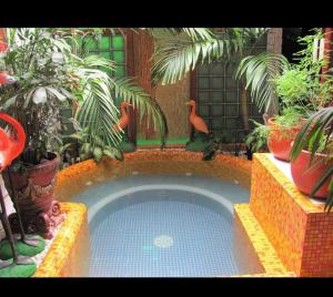 ein kleines Schwimmbecken in einem Garten mit Pflanzen in der Unterkunft casa serrano in Valledupar