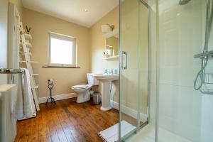 a bathroom with a shower and a toilet and a sink at Phoenix House in Dublin
