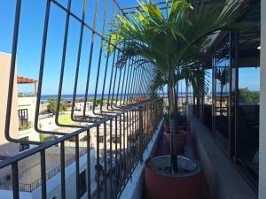 Gallery image of Apartamentos En Edificio Amapola Zona Colonial Malecón in Santo Domingo +80 photos