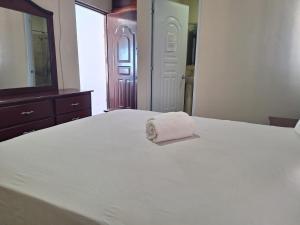 Gallery image of Apartamentos En Edificio Amapola Zona Colonial Malecón in Santo Domingo