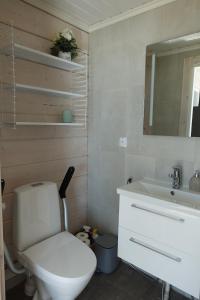 a bathroom with a toilet and a sink and a mirror at Villa Leponiemi in Keuruu +44 photos