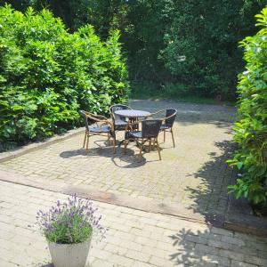 a table and chairs sitting on a brick patio at 't Woldhoesie in Diever +7 photos