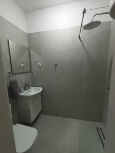 a bathroom with a shower and a toilet and a sink at Villa Paradiso in Ohrid +17 photos