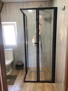 a shower with a glass door in a bathroom at Frame&Forest2 in Kolochava +29 photos