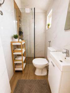 a bathroom with a toilet and a sink and a shower at Apartments Casa al Vento in Donja Klada +18 photos