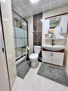 a bathroom with a toilet and a sink at Kaira Homes 1 in Ankara +43 photos