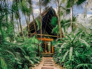 Градина пред Nômade Temple Tulum