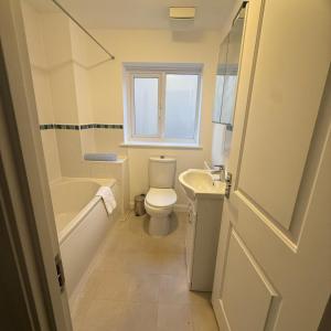 a bathroom with a toilet and a tub and a sink at NJ&C Properties in Bristol