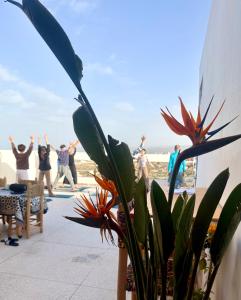 a group of people doing yoga on the beach at SeArt Home by the Ocean in Aourir