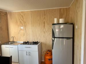 a kitchen with a refrigerator and a sink at CasasAnique in Cañete +17 photos