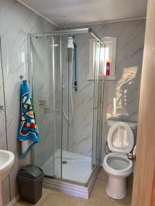 a bathroom with a shower and a toilet at CasasAnique in Cañete