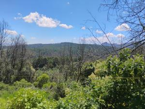 a view of the forest from the top of a hill at Glamping Entre las Nubes in Mineral del Monte +11 photos