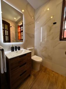 a bathroom with a sink and a toilet and a mirror at Best House Center - with Garage in Porto